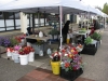 Coos Bay farmers' market