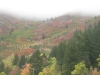 Alpine Scenic Loop, Utah