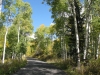 Alpine Scenic Loop, Utah