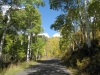 Alpine Scenic Loop, Utah